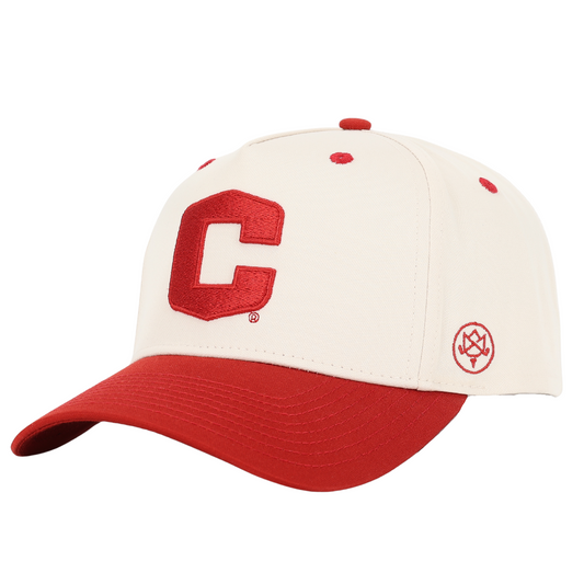 Central Dutch James Hat